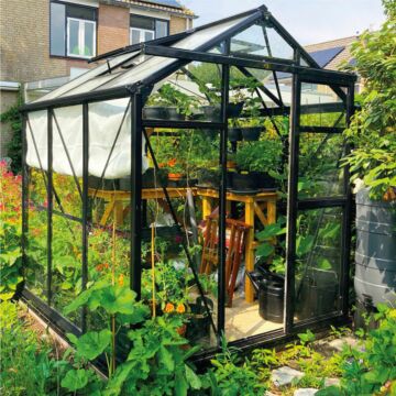 Gardenmeister Prestige 100 Gewächshaus Sicherheitsglas 4 mm schwarz