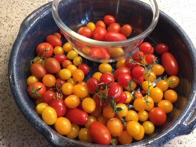 Gepflückte Tomaten